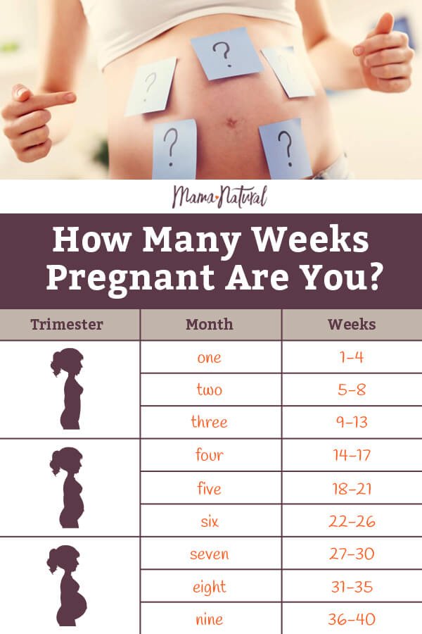 How Many Months Is 23 Weeks Chart