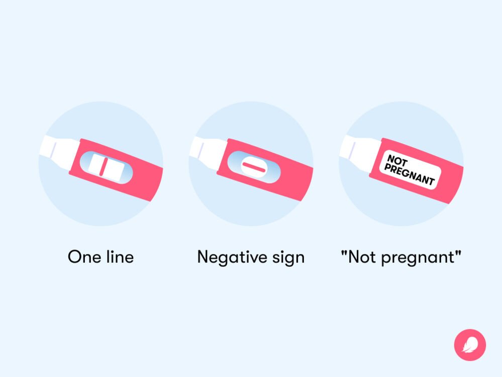 Can Twins Cause a False Negative Pregnancy Test
