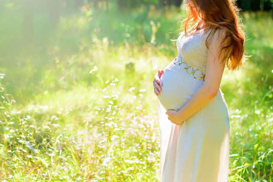 How to Manifest Pregnancy